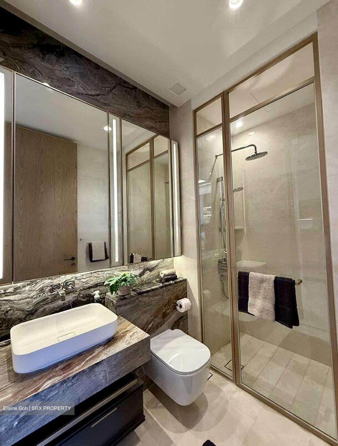 The Avenir (D9), Condominium #527082781